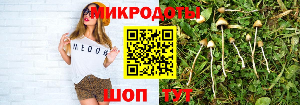 Галлюциногенные грибы Magic Shrooms Михайловка