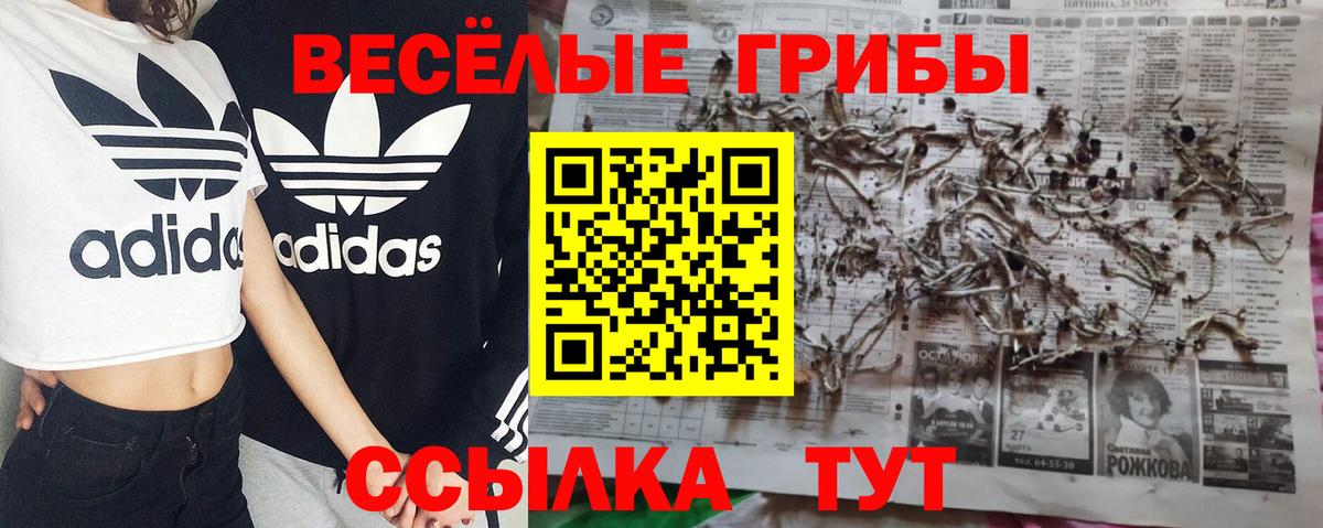 закладка  Вход с VPN  Михайловка  Псилоцибиновые грибы Psilocybe 